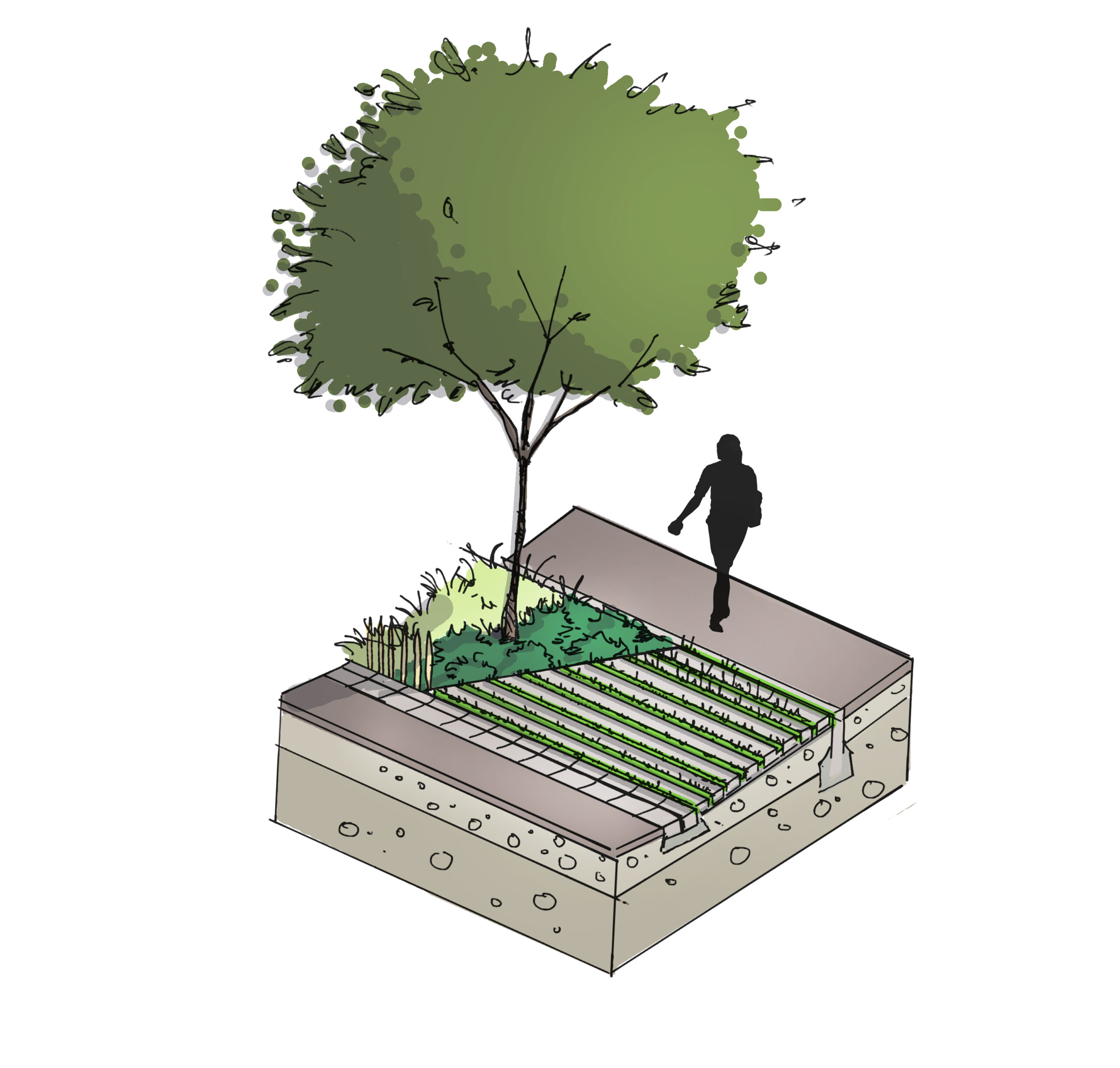 Accès en pavés drainants